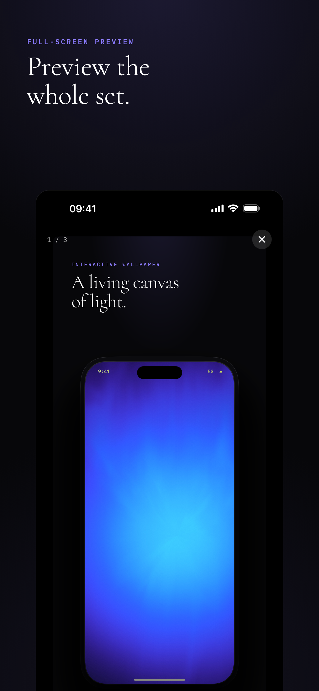 Full-screen preview
